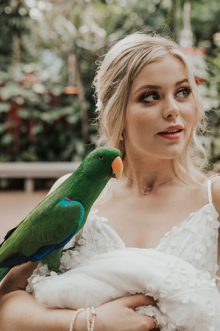 Butterfly kisses wedding inspiration from BC Today's Bride