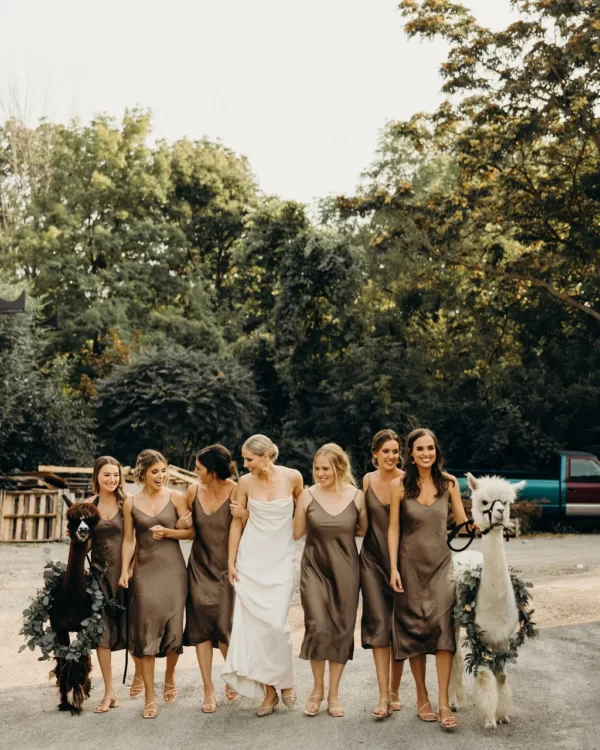 wedding shoot bride and maids with alpacas