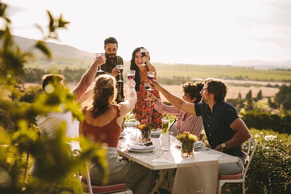 friends gather to celebrate at outdoor engagement party theme