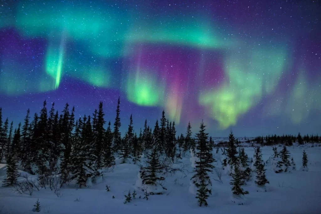 Honeymoon Northern lights in Churchill Manitoba 