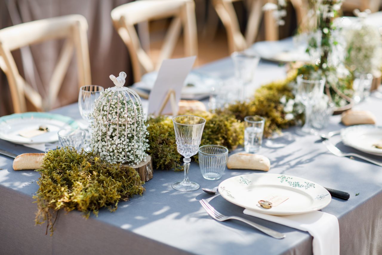 Compostable Plates: Wedding Planning for the Eco-Friendly Couple
