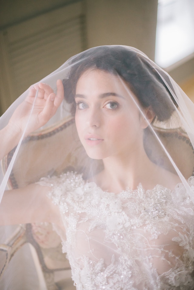 fine art bridal portrait with veil over brides face