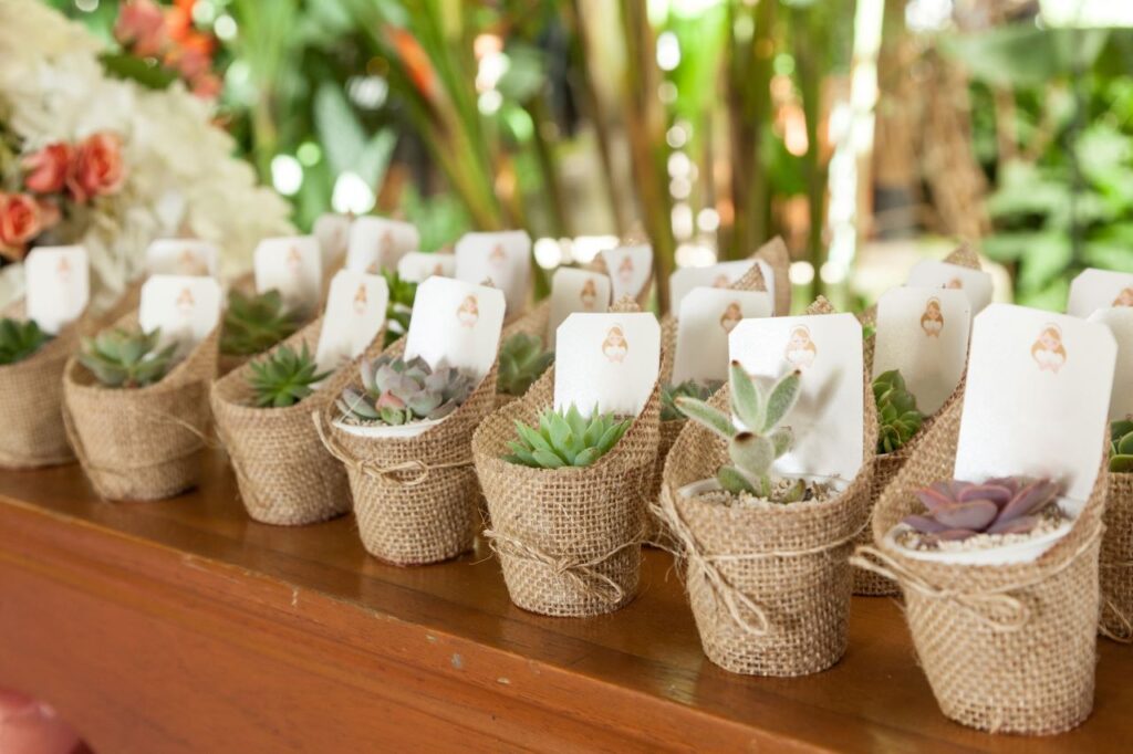 mini succulent wedding favours