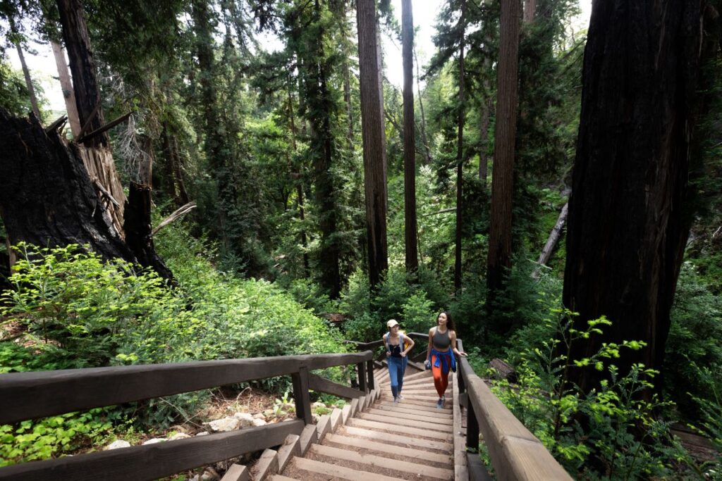 couple walking the trails at Big Sur Pfeiffer Falls Trail