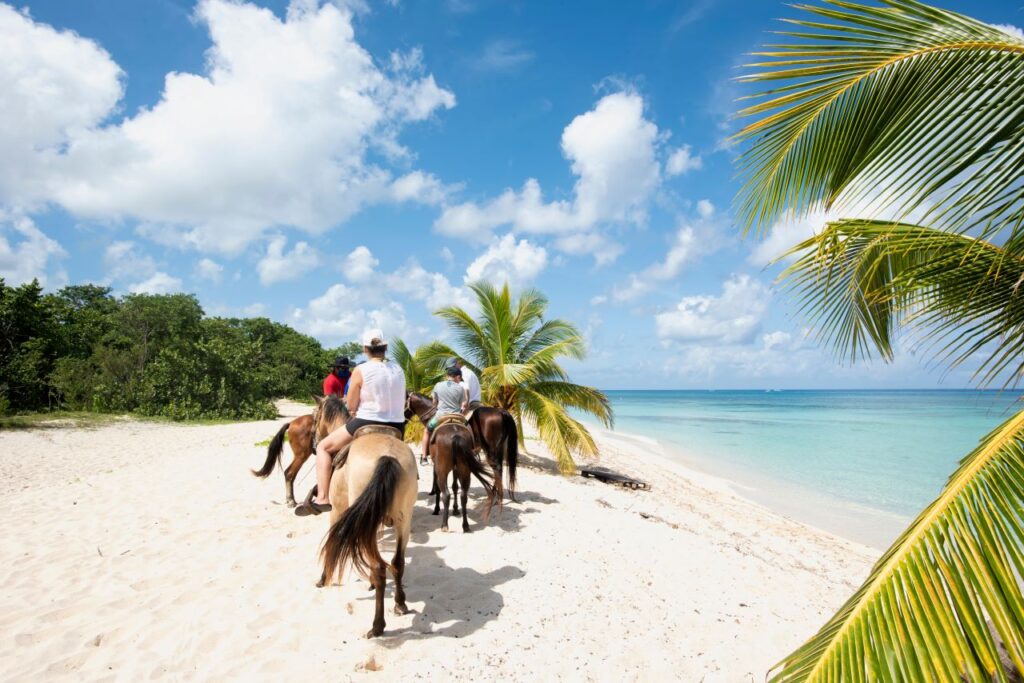 Horseback riding on the beach in the Caribbean