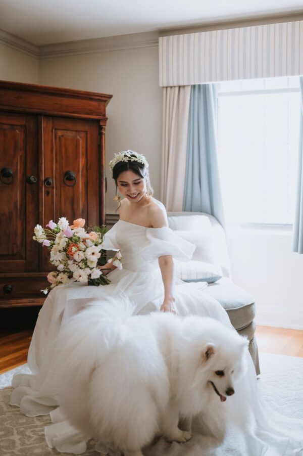 An adorable dog accompanies a lovely bride in a room