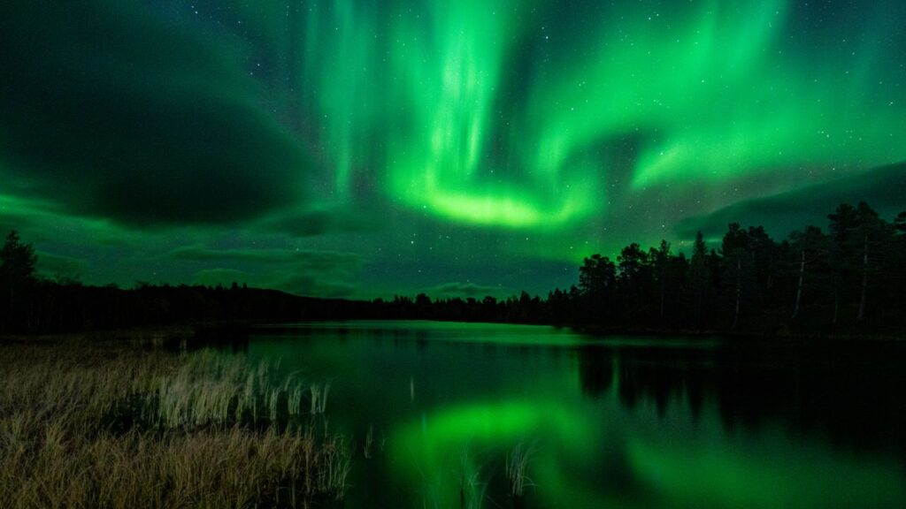 Northern Lights Abisko Sweden