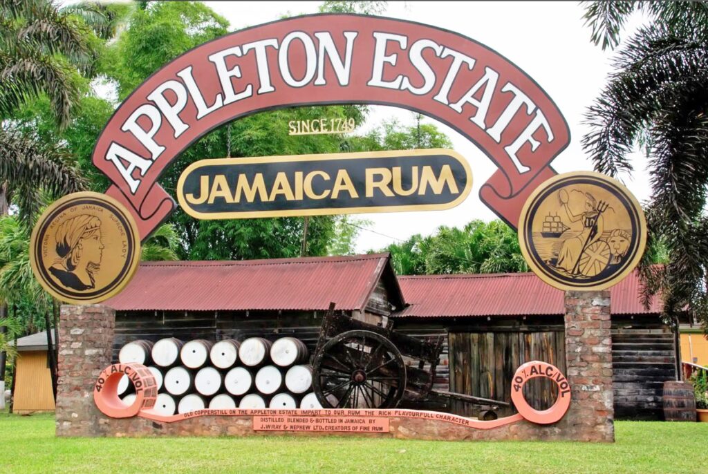 Appleton Estate rum tasting on Jamaica honeymoon