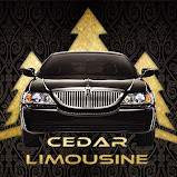 Cedar Valley Limousine Services Inc