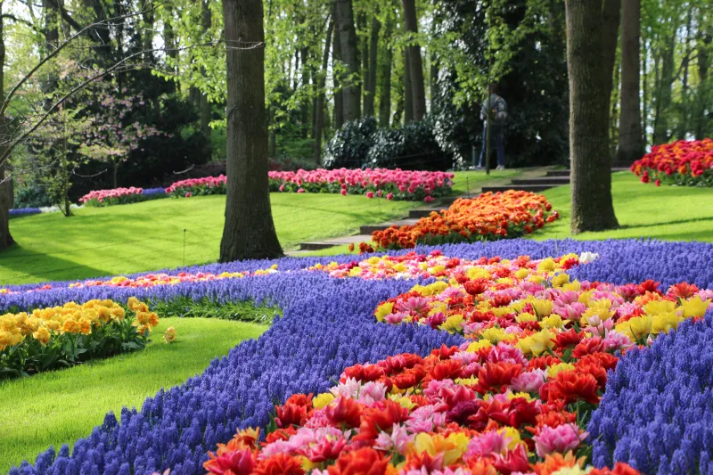 honeymoon adventure at Keukenhof Tulip Garden near Amsterdam