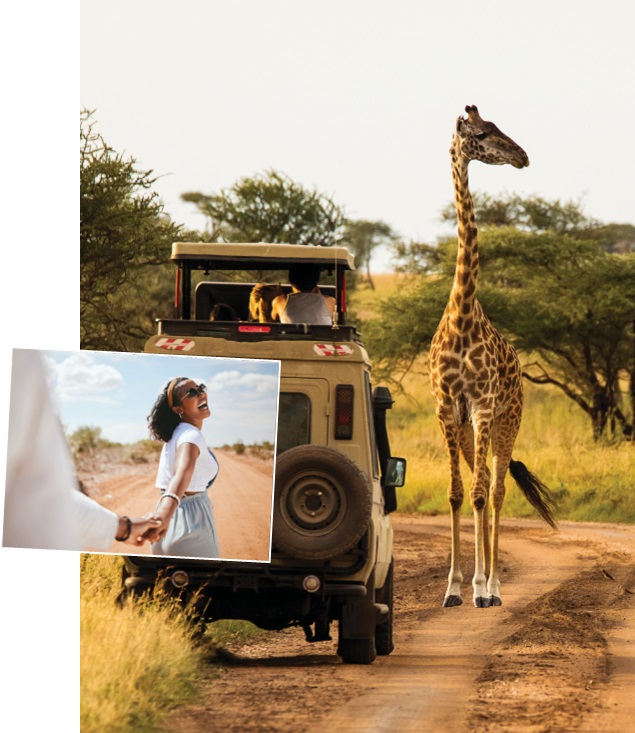 safari honeymoons