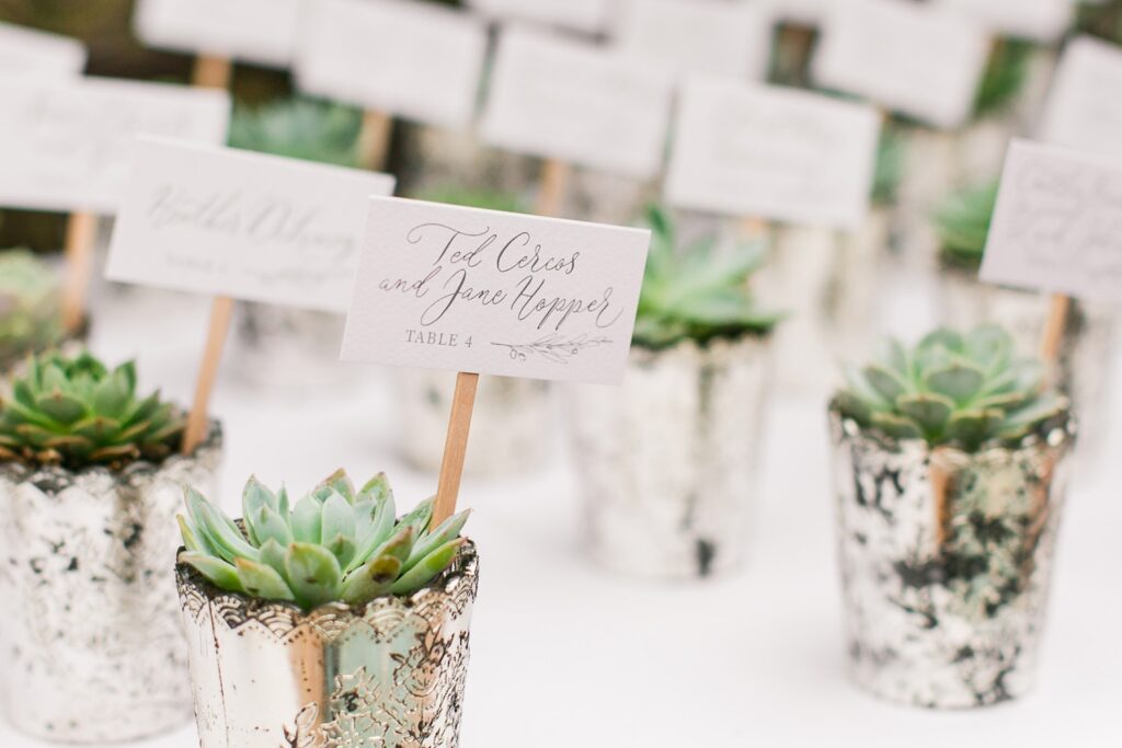 succulent wedding place cards