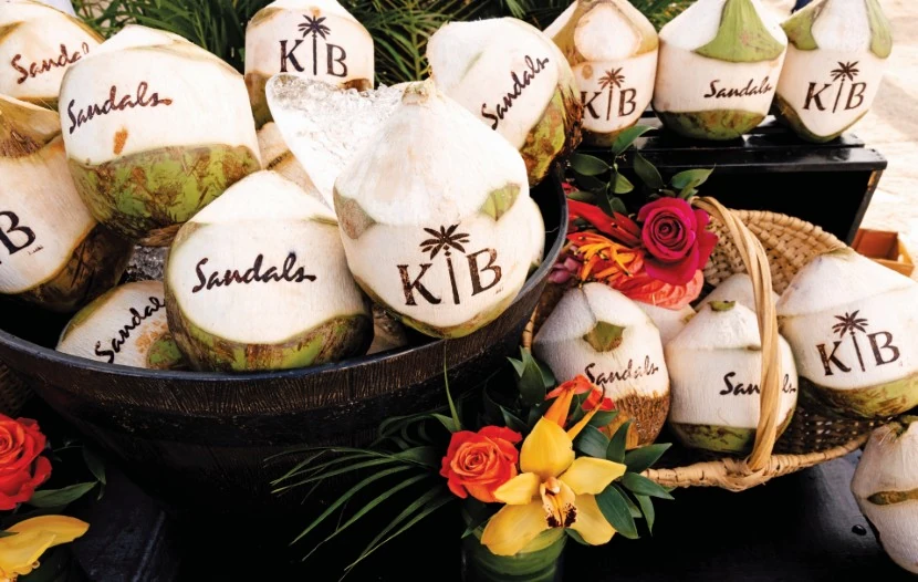 A beautifully arranged coconut water drink at a wedding
