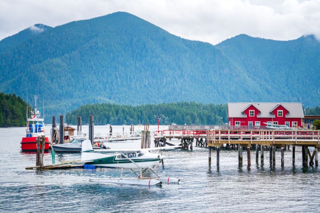 beautiful wilderness in Clayoquot Sound tofino