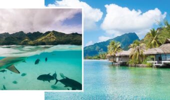 incredible destinations for honeyoom adventure French Polynesia