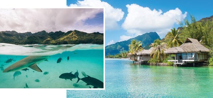 incredible destinations for honeyoom adventure French Polynesia