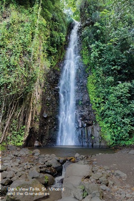St Vincent and The Grenadines honeymoons at Dark View Falls