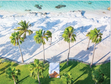 stunning beach aerial view with palm trees destination weddings