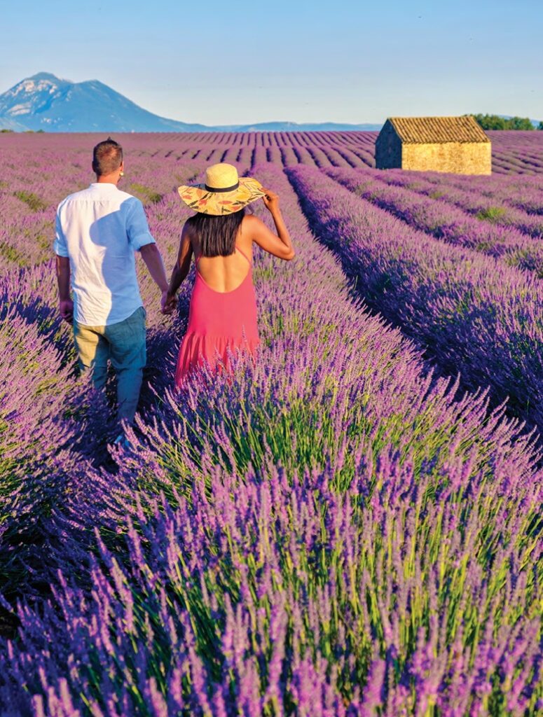 slow travel honeymooners explore lavender fields in France