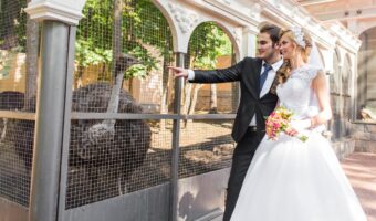 unique wedding venue at zoo wedding portrait with bride and groom with ostrich