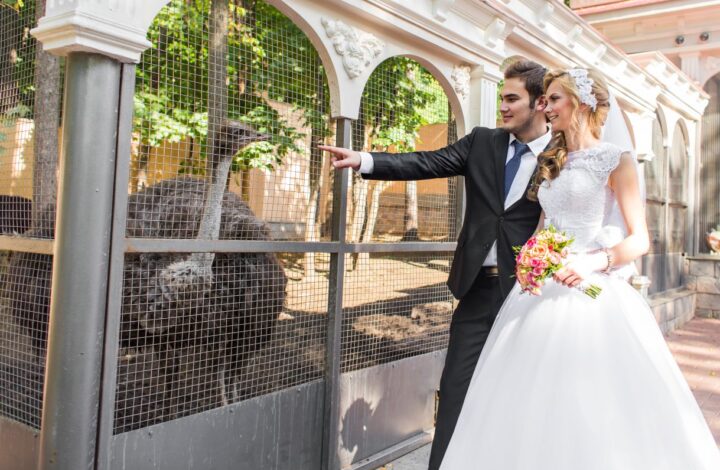 unique wedding venue at zoo wedding portrait with bride and groom with ostrich