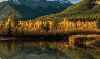 destination weddings the rockies