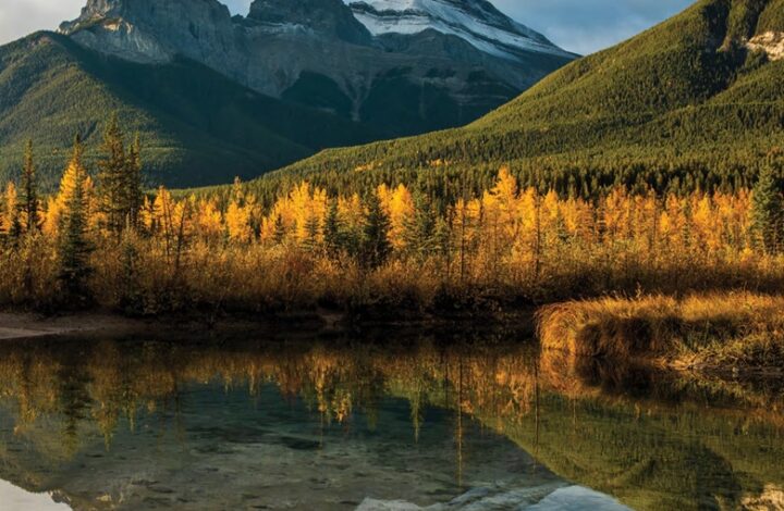 destination weddings the rockies