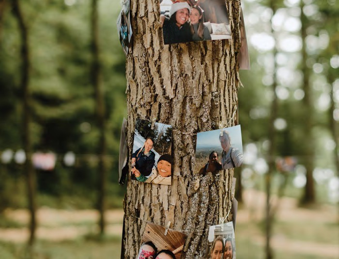 Tree trunk in a forest with several photos clipped around it, showing friends smiling at the camera.