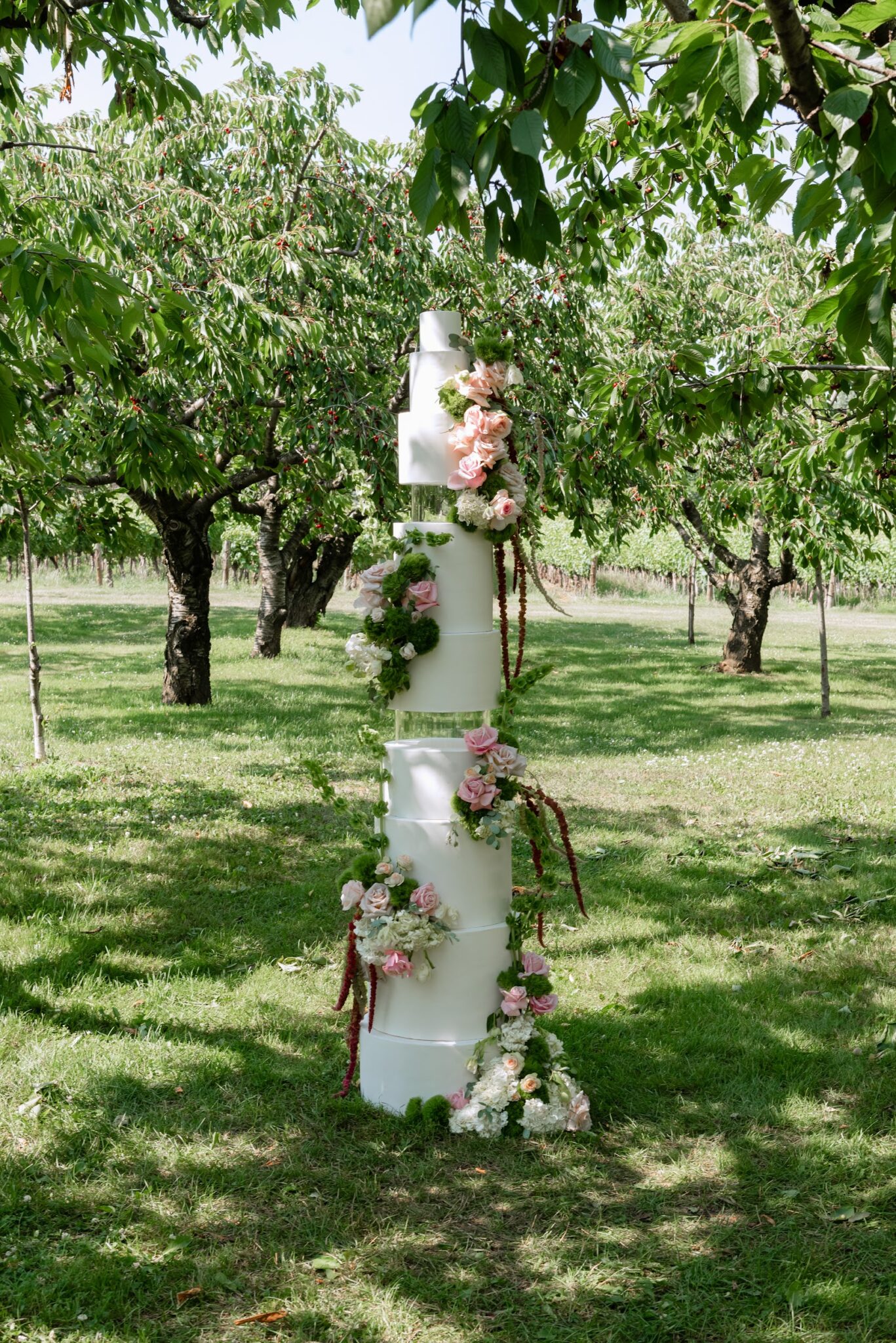 Tall white, multi-tiered wedding cake adorned with pink roses and greenery, set in an orchard.