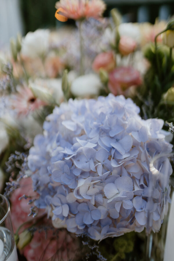 Close-up of light blue hydrangea blossoms in a bouquet, with blurred pastel pink and white flowers in the background.